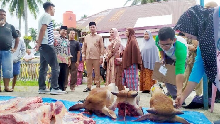 PENYEMBELIHAN— Wali Kota Pariaman Genius Umar didampingi istri Ny. Lucyanel Genius, memantau penyembelihan hewan kurban di beberapa masjid dan mushalla.
