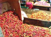Meroket Jelang Idul Adha, Cabai Rawit Tembus Rp 100 Ribu/kilogram di Kabupaten Agam