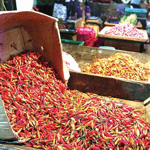 MEROKET— Harga cabai rawit di pasar tradisional di Kabupaten Agam meroket jelang Idul Adha. Harga yang semula berkisaran Rp 70 ribu, menjadi Rp 100 ribu/kilogram.