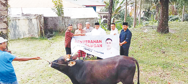 SAPI KURBAN— Verry Mulyadi didampingi Tim Verry Mulyadi (VM) Centre saat menyerahkan sapi kurban untuk Masjid Al Itihad, Indarung, Jumat (8/6) sore.