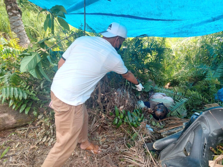 OLAH TKP— Polisi melakukan olah TKP penemuan mayat penjual gorengan 
di area perkebunan sawit milik PT BPP Unit II Air Balam, Kecamatan 
Koto Balingka, Pasbar.