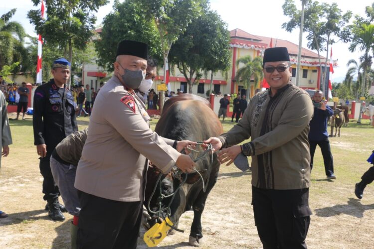 SAPI KURBAN-Wakapolda Sumbar Brigjen Pol Edy Mardianto menyerahkan sapi kurban pada Idul Adha, Minggu (10/7).