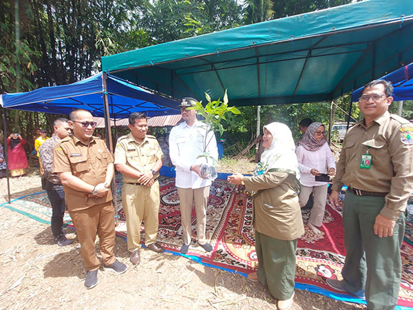 Walikota Bukittinggi serahkan 20 ribu bibit buah kepada masyarakat kota Bukittinggi