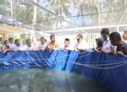 Wako Solok  Zul Elfian, Serahkan Bantuan Sarana Budidaya Ikan Lele 