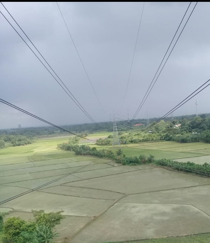 Berpotensi Mengancam Nyawa, PLN Ingatkan Jangan Main Layang-layang Dekat Jaringan Listrik 1 Ilustrasi jaringan listrik PLN.