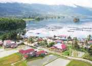 Jumlah KJA Melebihi Daya Tampung, Pemkab Agam Lakukan Program Budidaya Perikanan Darat