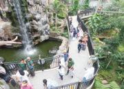 Peringati Tahun Baru Islam, Santri Gratis Masuk Kebun Binatang