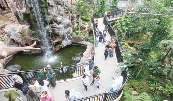 gratiskan— Pemerintah Kota Bukittinggi menggratiskan para santri masuk ke Kebun Binatang Taman Marga Satwa Bukittinggi Kinantan dalam menyemarakkan Tahun Baru Islam 1444 Hijriah.