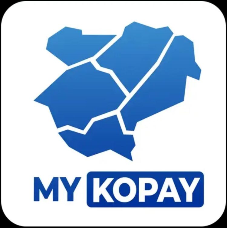 Aplikasi Mykopay Jadi Kado Terakhir Diskominfo Buat Riza Falepi