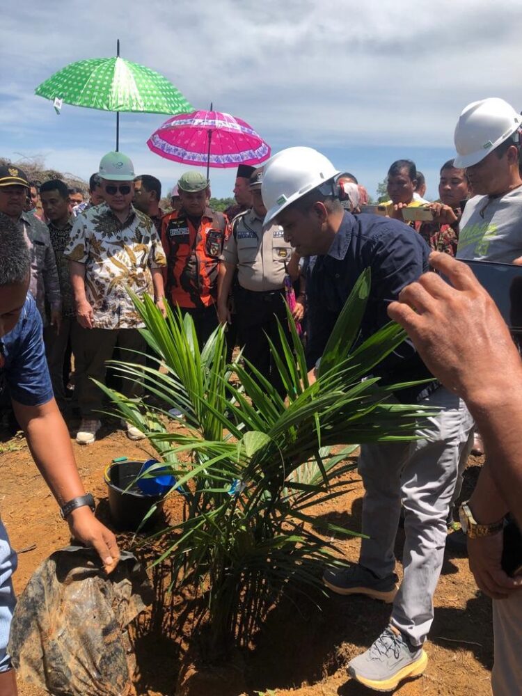 Kebun Plasma Diharapkan Bantu Petani Sawit Swadaya di Kabupaten Pesisir Selatan 1 penanaman perdana— Bersama Anggota DPRD Pessel Dapil V Aljufri, S, H., M. H, Kepala Dinas Pertanian dan Perkebunan Mardianto, S. Hut, serta Direktur PT. Sapta Sentosa Jaya Abadi Herludiansyah Pane, M. BA dan Forkopimca Basa Ampek Balai Tapan, melaksanakan penanaman perdana kebun sawit plasma.