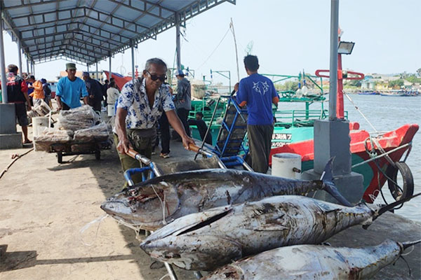 Potensi Kemajuan Ekonomi Melalui Sistim Syariah 1 SALURKAN— Pelaku usaha kelautan dan perikanan sangat terbantu dengan bantuan pinjaman yang diberikan Lembaga Pengelola Modal Usaha Kelautan dan Perikanan (LPMUKP) di bawah Kementerian Kelautan dan Perikanan (KKP) yang telah menyalurkan Rp 872 miliar dari 2017-2021 baik pola konvensional maupun syariah.