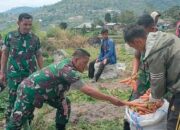 Lahan Program Pemberdayaan Prajurit dan Masyarakat Produktif, Kasdim 0309/Solok Panen Wortel