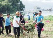 Jalankan Program Save Maninjau, Pemkab Agam Goro Bersihkan Enceng Gondok