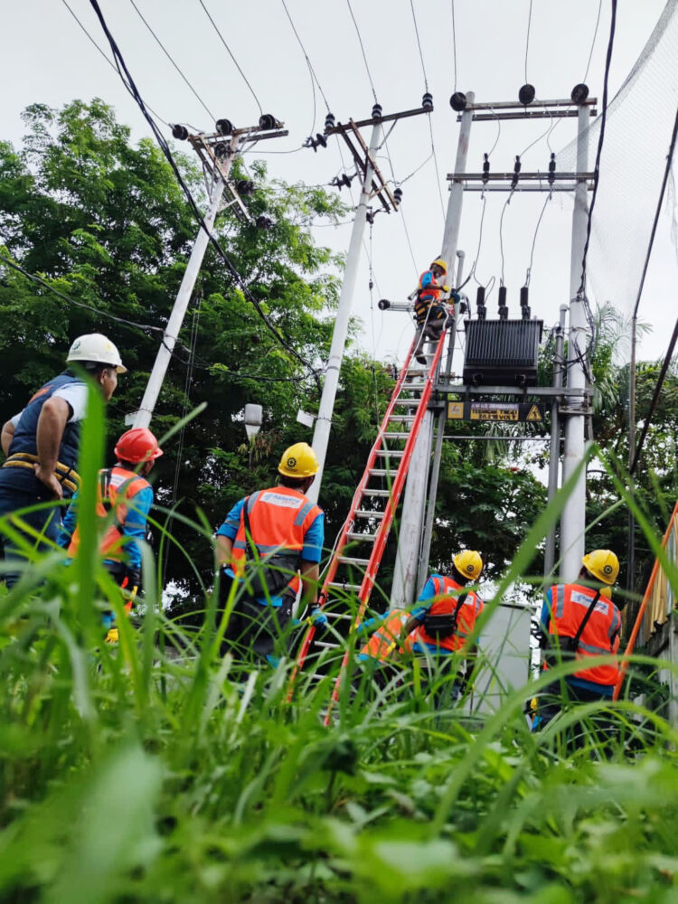 Upgrade Kompetensi Petugas, PLN Rutin Gelar Kampus Yantek 1 pelatihan— PLN menggelar kegiatan pelatihan dan upskilling bertajuk Kampus Yantek secara berkala.