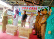 Turunkan Bayi Kurang Gizi, DPMD Padangpariaman Launching Pos Gizi Nagari dan Aplikasi Naga Lupa Ceting