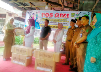 Turunkan Bayi Kurang Gizi, DPMD Padangpariaman Launching Pos Gizi Nagari dan Aplikasi Naga Lupa Ceting