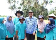 Empat Tahun Kepemimpinan Pasangan Wali Kota Gama, Bermacam Program Telah Dilaksanakan, Panen Raya Padi Surplus