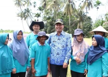Empat Tahun Kepemimpinan Pasangan Wali Kota Gama, Bermacam Program Telah Dilaksanakan, Panen Raya Padi Surplus