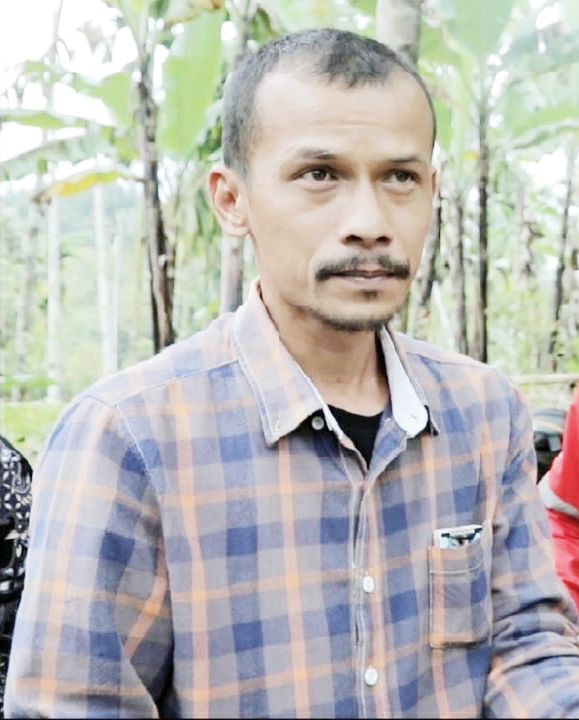 BUDIDAYA PISANG— Pohon pisang yang dibudidayakan oleh Yudi Kurnia bisa panen sebanyak 25 tandan perpekannya yang harganya terendah di angka Rp 40.000 pertandannya.