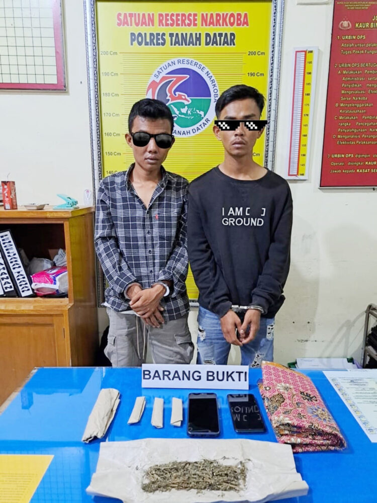 EDARKAN GANJA— Dua pelaku yang diduga sebagai pengedar ganja saat diamankan di Mapolres Tanahdatar usai ditangkap.