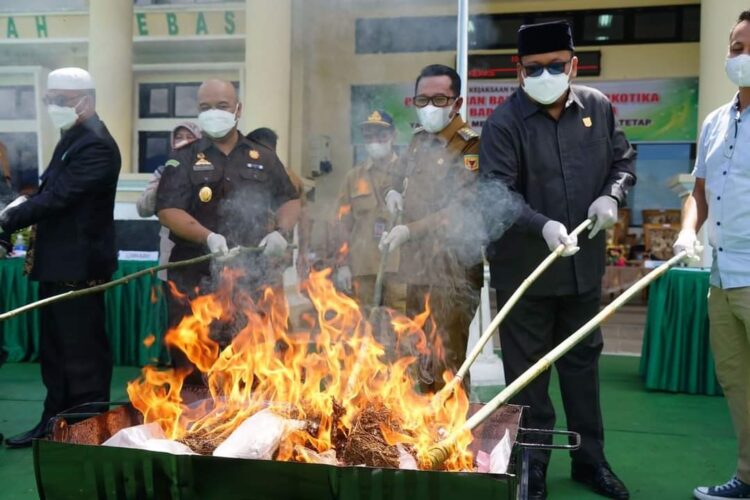 MUSNAHKAN BARANG BUKTI— Bupati, Ketua DPRD, Ketua Pengadilan dan Kapolres memusnahkan BB narkotika di Kejaksaan Tanahdatar.
