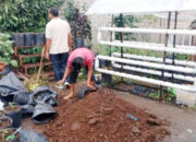 ASN Pemko Solok Diajak Tanam Cabai di Pekarangan