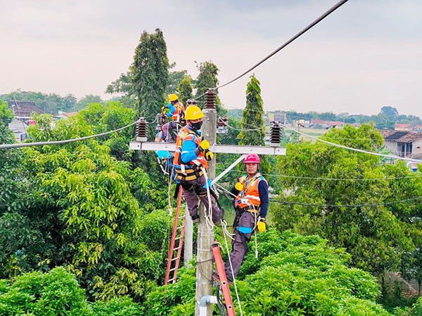 PERBAIKAN— Petugas PLN sedang melakukan perbaikan jaringan antispasi terjadinya gangguan.