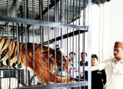 10.000 Wisatawan Kunjungi TMSBK saat Libur Imlek