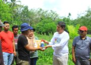 Wako Deri Asta Tinjau Petani Jagung