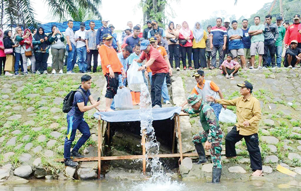 PELEPASAN BIBIT IKAN— Wali Kota Padang Hendri Septa melepas 3.000 bibit ikan nila yang dipusatkan di aliran Sungai Jirak bawah jembatan Cendana Mata Air, Kelurahan Mata Air, Kecamatan Padang Selatan.