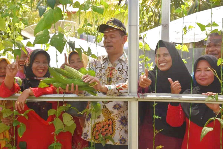 Tujuan Studi Tiru Berbagai Daerah di Sumatra Barat, KWT Harapan Bersama Desa Manggung jadi Referensi 1 KWT Harapan Telah Menjadi Referensi Dan Tujuan Studi Tiru Berbagai Daerah Di Sumatra Barat