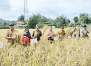 Keltan Jawi-Jawi Agro Matur Buktikan Pertanian Organik Mampu Tingkatkan Produksi