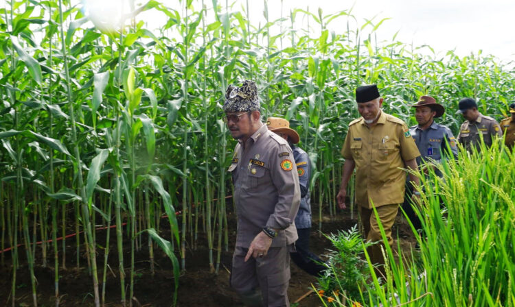 Penas ke-XVI KTNA Upaya Konsolidasi Ketahanan Pangan Hadapi Ancaman Krisis 1 MENINJAU— Mentan Syahrul Yasin Limpo didampingi Gubernur Sumbar, Mahyeldi Ansharullah meninjau lokasi pusat acara Penas ke-XVI KTNA di Lanud Sutan Sjahrir Padang, Selasa (30/5).