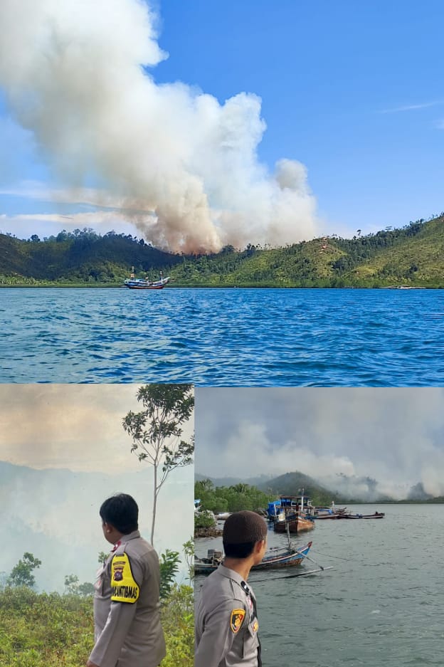 10 Ha lebih, Hutan dan Ladang di Bukit Ameh, Koto XI Tarusan Pessel terbakar 1 3883c4b4 c839 46ee 86aa 325396cccd04