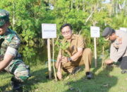 Bibir Pantai di Ujung Labuang Ditanami 1000 Bibit Mangrove
