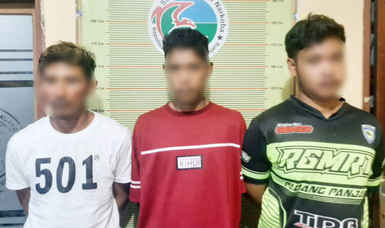 3 Pengedar Ganja Diciduk Tim Karanggo 1 PENGEDAR GANJA— Tiga pelaku yang diduga sebagai pengedar ganja ditangkap Tim Karanggo Polres Padangpanjang.
