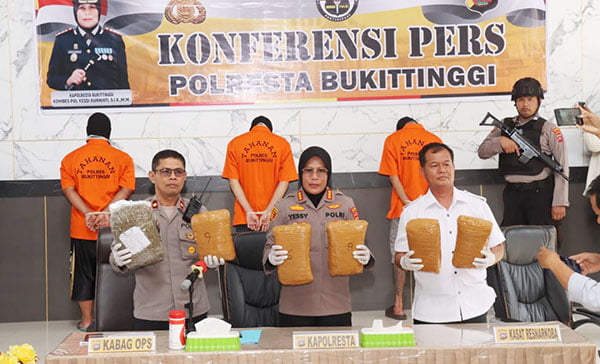 Sindikat Narkoba Kirim 17,4 Kg Ganja via Ekspedisi, Dikemas dalam Kotak Sanjai, 3 Pelaku Ditangkap 1 GANJA— Kapolresta Bukittinggi Kombes Pol Yessi Kurniati memperlihatkan barang bukti ganja yang dikirimkan tiga tersangka menggunakan jasa ekspedisi.