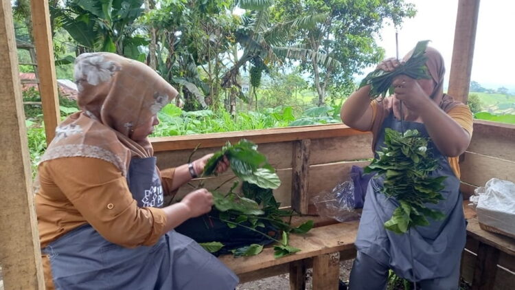 pemberdayaan--BM PLN kembali melaksanakan program pemberdayaan masyarakat pada dua Nagari di Tanah Datar, Sumatera Barat.