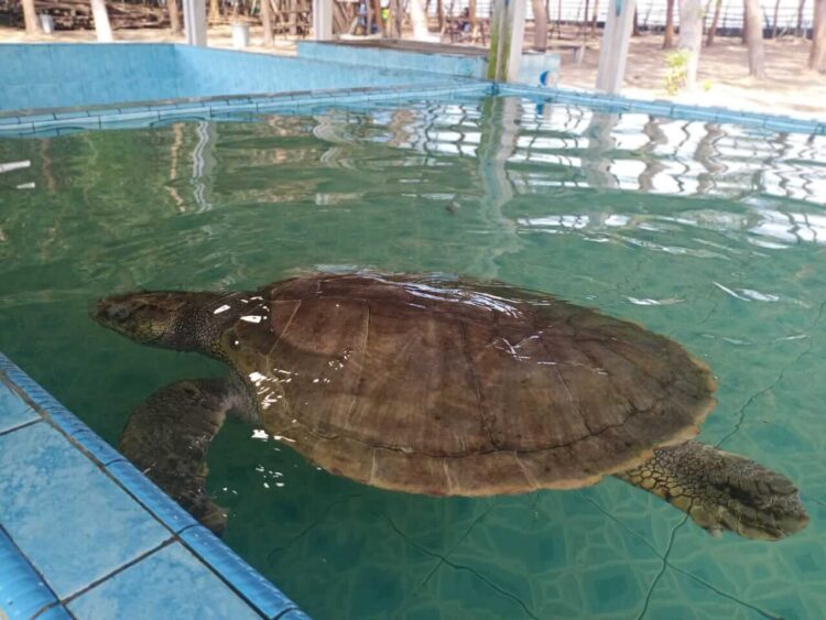 Diskusi, Disparpora Pessel Matangkan Penilaian Anugerah Pariwisata Indonesia 2023 1 ad 1