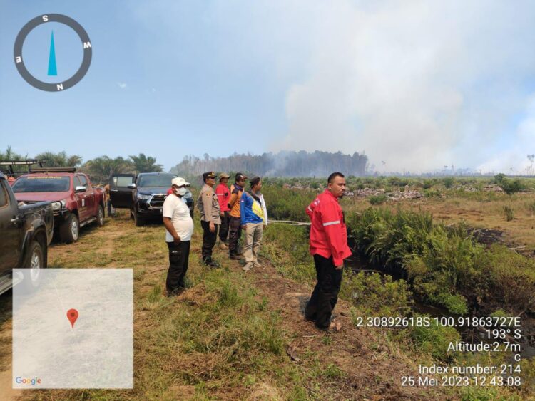 Kebakaran Hutan di Silaut, Siapa Yang Bertanggung Jawab dan Siapa Yang Disalahkan ? 1 f 2