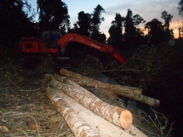 Tumpukan kayu tak bertuan ditemukan di 
Kenagarian Alang Rambah Tapan, Kecamatan Basa Ampek Balai Tapan, Kabupaten Pesisir Selatan.