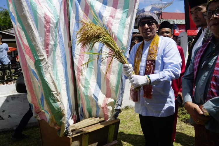 Bupati Eka Putra lakukan mairiak padi.