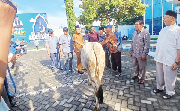 Selalu Istiqomah Menyebar Kebaikan, Karyawan Perumda Air Minum Padang jadi Role Model Pemko Padang 1 Walikota Padang, Hendri Septa menyerahkan hewan qurban kepada perwakilan pengurus masjid dan mushalla di Kota Padang.