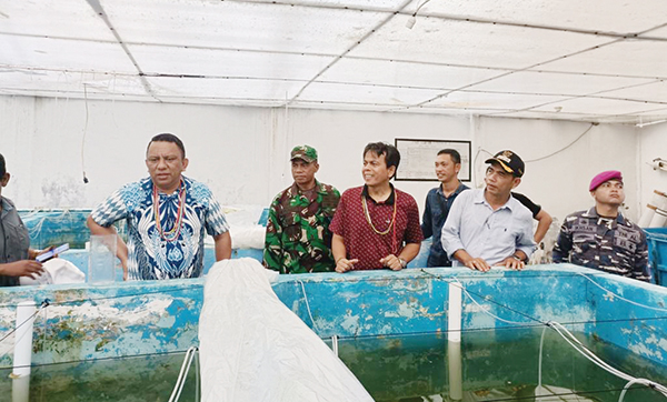 Hasil Produksi Lobster Lebih Untung Dibanding Ikan Kerapu, BBIP Sikakap Disarankan Beralih ke Budidaya Lobster Laut 1 FERNANDO Jongguran Simanjuntak, melakukan kunjungan kerja di Kecamatan Sikakap tepatnya di lokasi BBIP Sikakap, didampingi Sekretaris Perikanan Awaludin.