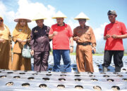 Ingin Hasil Maksimal dengan Kelompok Pemula, Petani Bawang Minta Bimbingan secara Optimal