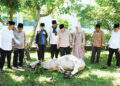Bupati Agam Kurban 1 Ekor Sapi di Masjid Nurul Falah 10 Bupati Agam Kurban 1 Ekor Sapi di Masjid Nurul Falah