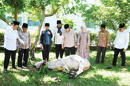 Bupati Agam Kurban 1 Ekor Sapi di Masjid Nurul Falah 1 SAKSIKAN PENYEMBELIHAN— Bupati Agam, Dr. H. Andri Warman MM beserta keluarga, menyaksikan penyembelihan hewan kurban di Masjid Nurul Falah, Padang Baru, Lubuk Basung, Kamis (29/6).