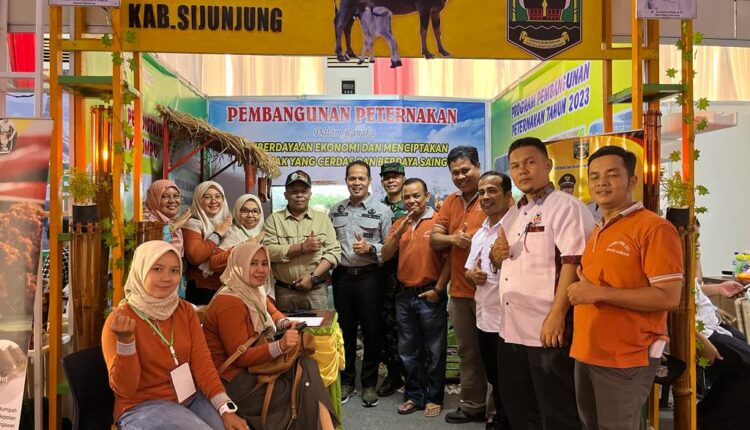 Empat Ekor Ternak Kabupaten Sijunjung Raih Juara