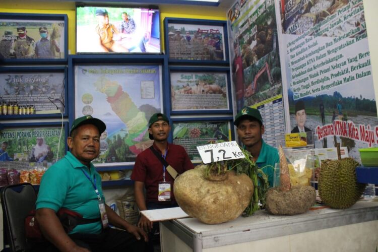 BENGKOANG--Peserta Penas Tani dari Pesisir Selatan memamerkan hasil pertaniannya berupa buah bengkoang jumbo dengan berat sekitar 7,2 Kg.