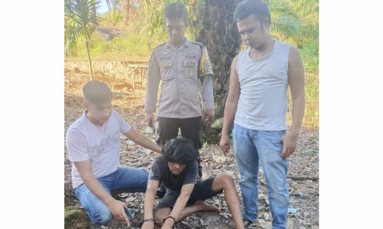 PENGEDAR SABU— Tim Polsek Sungai Beremas menangkap pengedar sabu yang sedang asyik pesta di perkebunan sawit.